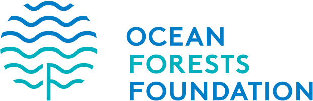 Ocean Forests Foundation